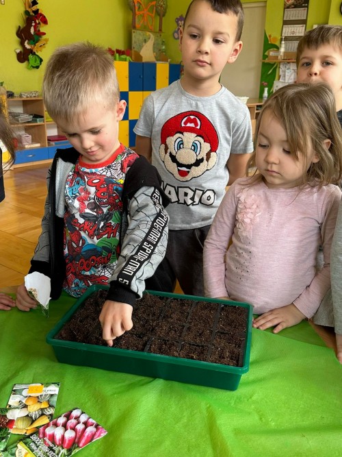 mini ogródek w sali