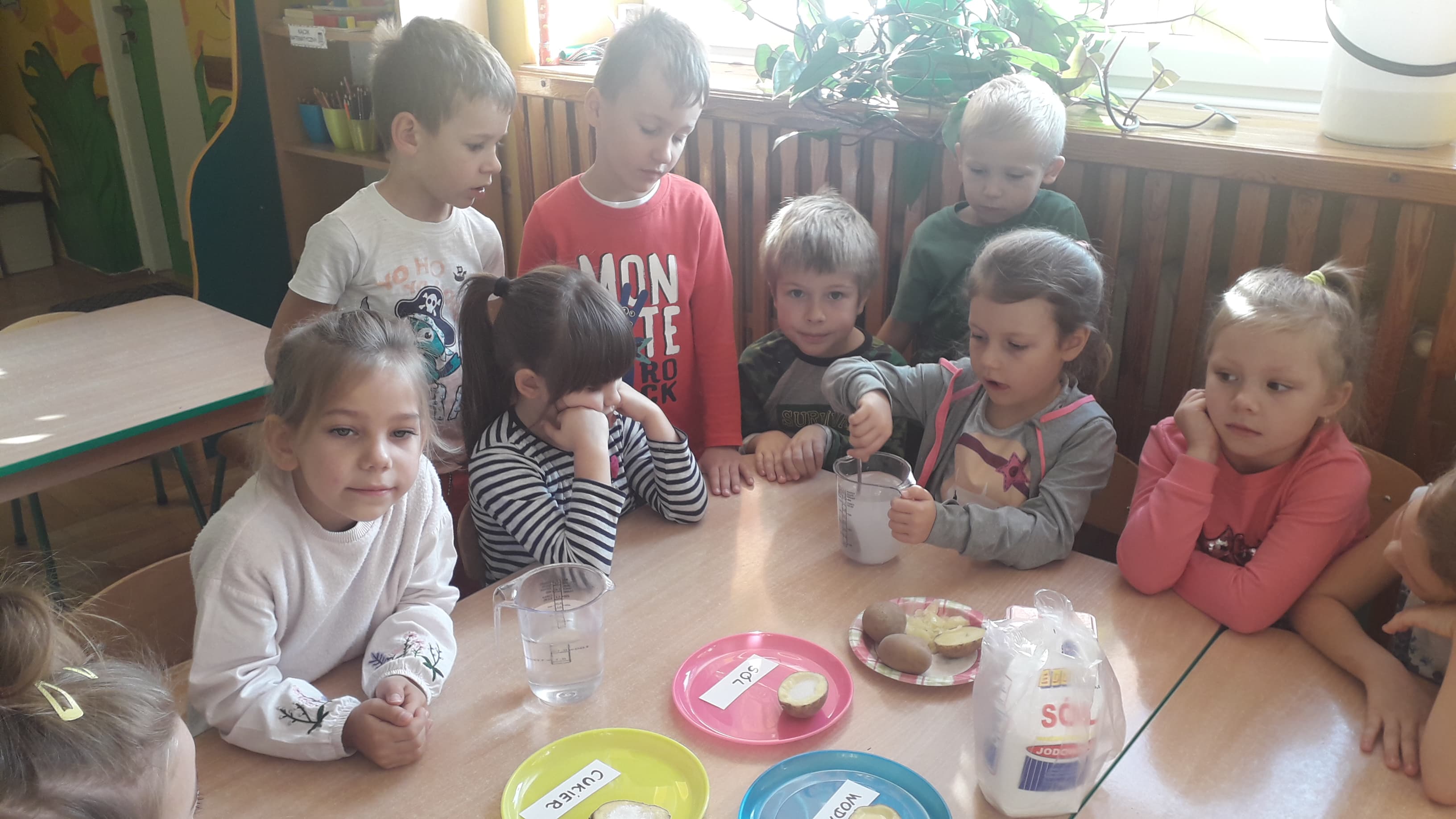 Doświadczenie z ziemniakiem ,,Mądre sowy