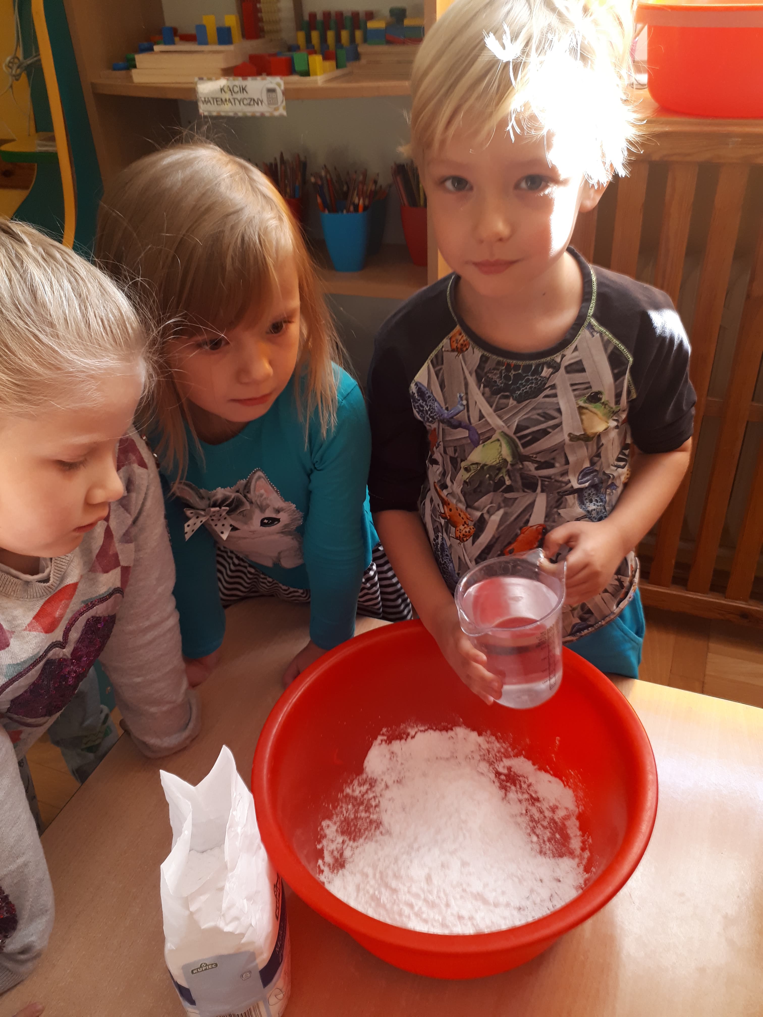 Płyn nienewtonoski ,,Mądre sowy