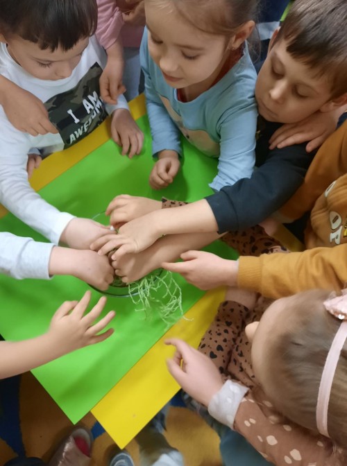 Doświadczenie - czy woda zamarza?
