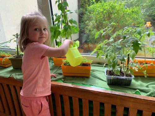 Mini ogródek - dbamy o nasze roślinki