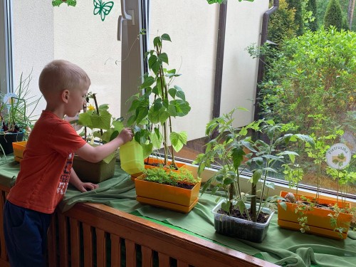 Mini ogródek - dbamy o nasze roślinki
