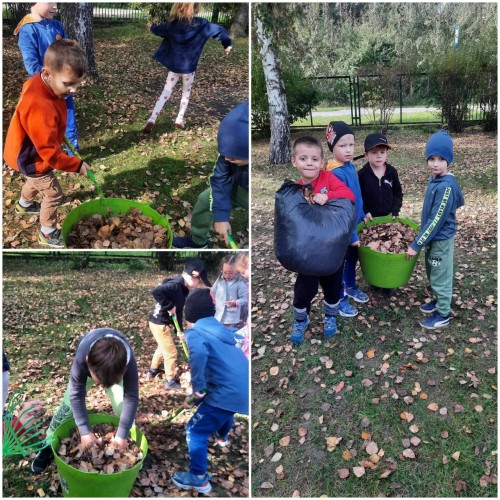 Jesienne porządki w ogrodzie