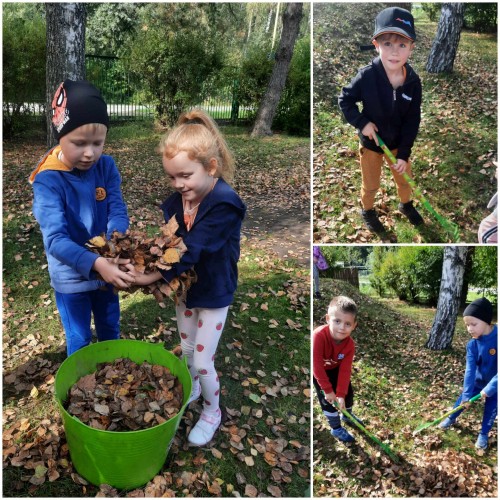 Jesienne porządki w ogrodzie