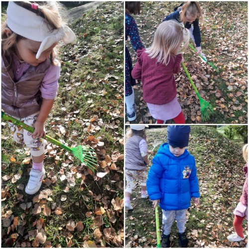 Jesienne porządki w ogrodzie