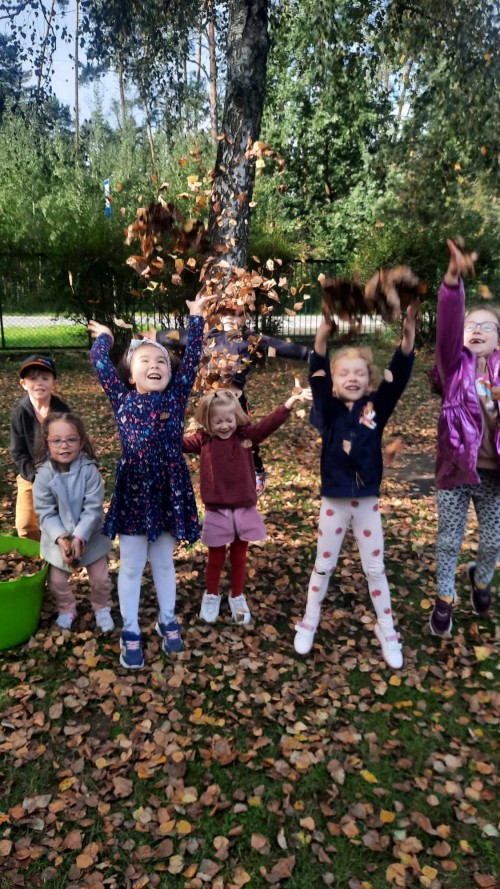 Jesienne porządki w ogrodzie