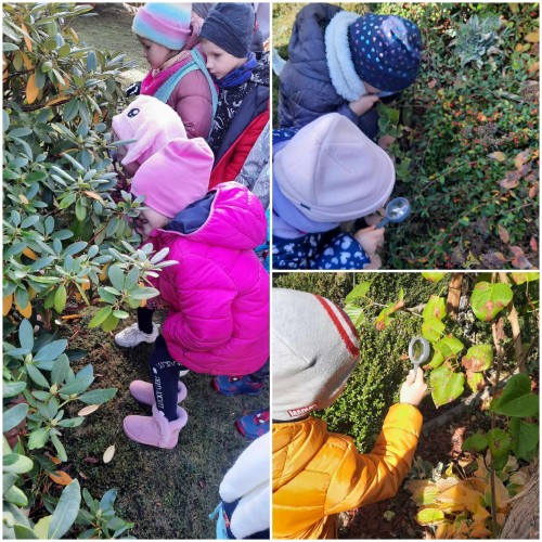 Jesienne obserwacje przyrodnicze