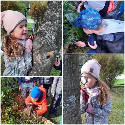 Jesienne obserwacje przyrodnicze