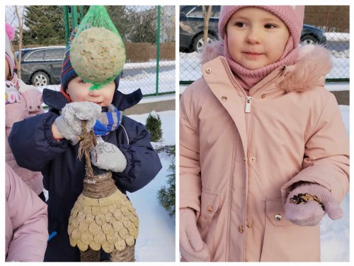 Dokarmianie ptaków w ogrodzie przedszkola