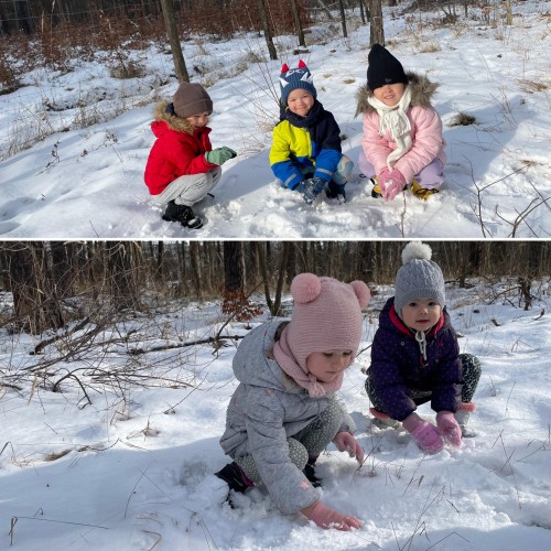 Zimowy spacer do lasu