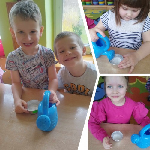 Motylki sieją rzeżuchę