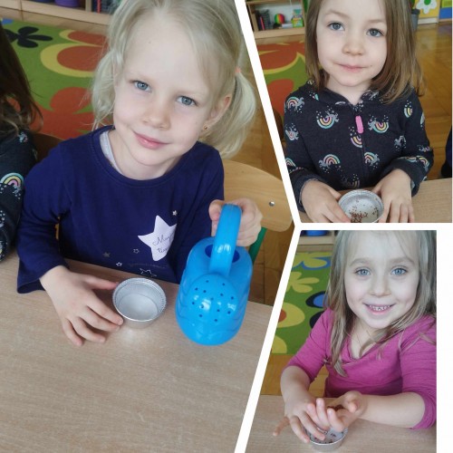 Motylki sieją rzeżuchę