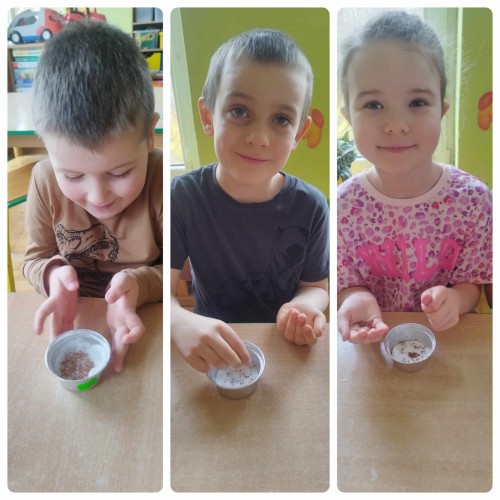 Motylki sieją rzeżuchę