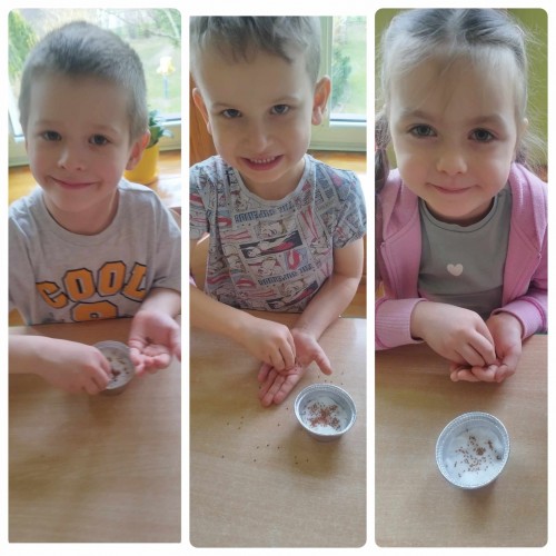 Motylki sieją rzeżuchę