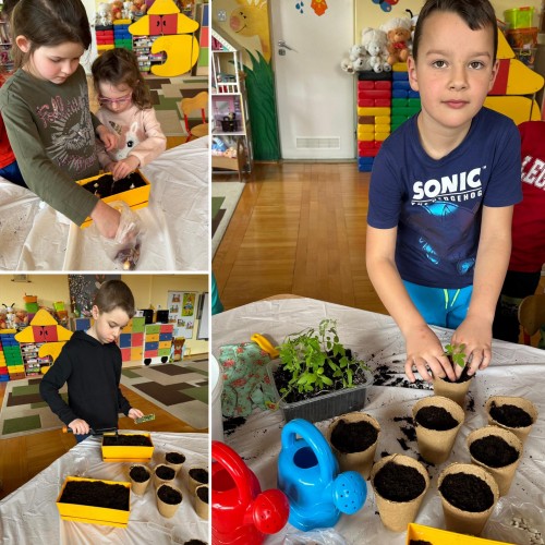 Wiosenne mini ogródki