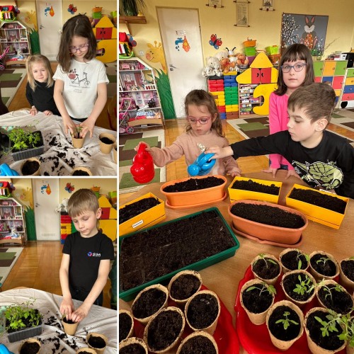 Wiosenne mini ogródki