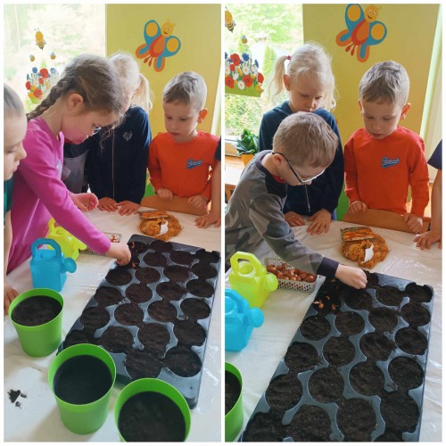 Wiosenne ogródki w sali