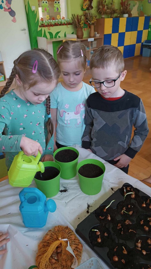 Wiosenne ogródki w sali