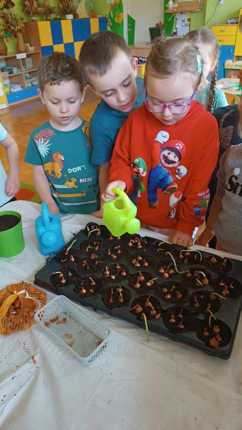 Wiosenne ogródki w sali