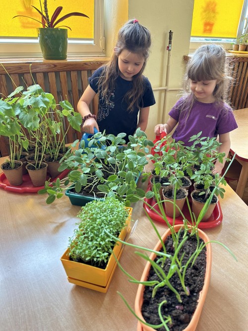 Dbamy o wiosenne mini ogródki