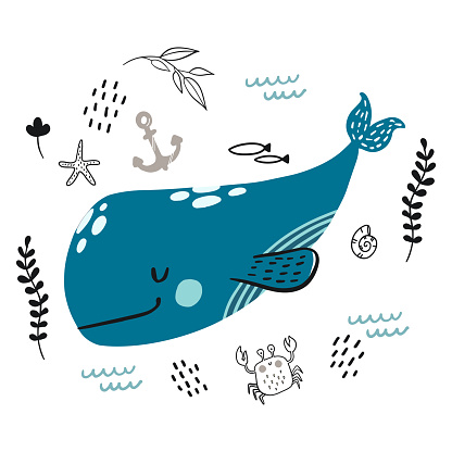 Spotkanie z wielorybem Błękitkiem